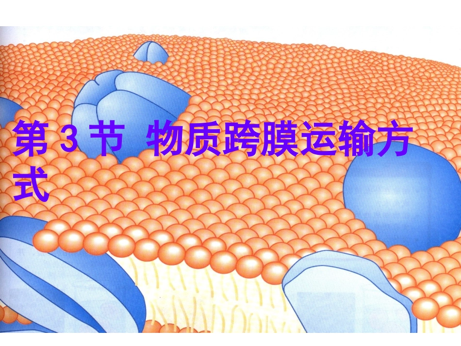 生物：4.3《物质跨膜运输的方式》课件(3)(新人教版必修1)_第1页