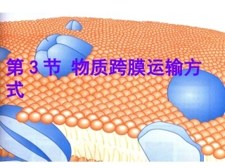 生物：4.3《物质跨膜运输的方式》课件(3)(新人教版必修1)