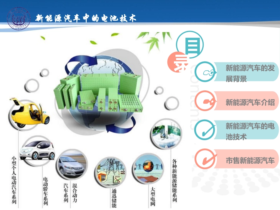 新能源汽车中的电池技术_第2页