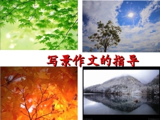 优秀写景作文指导