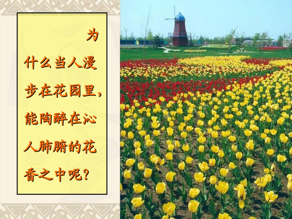 课题1分子和原子(1)_第2页