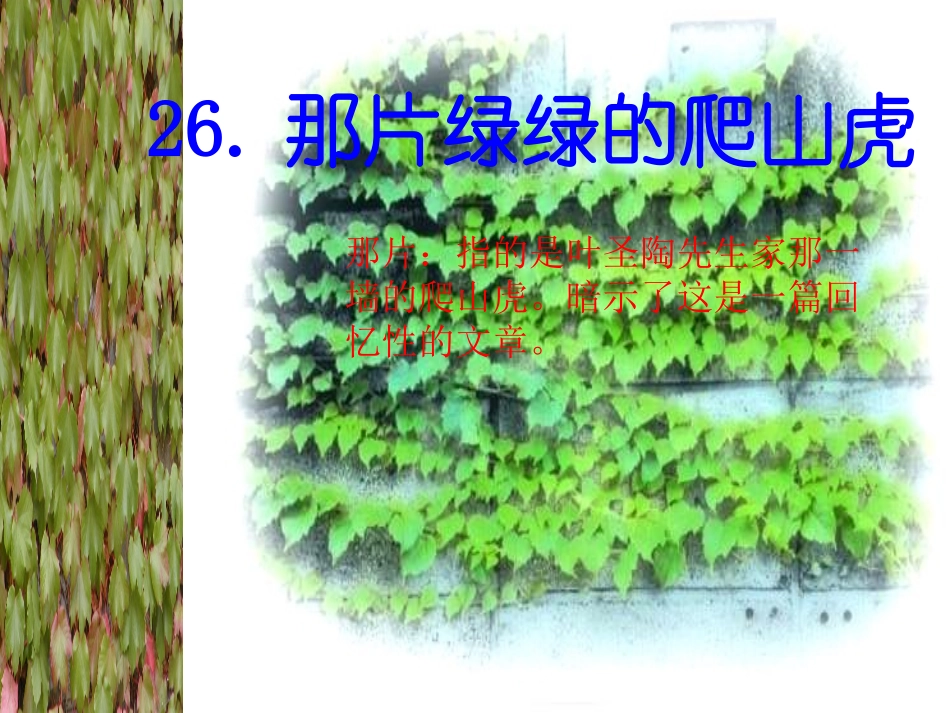 人教版四年级语文上册《那片绿绿的爬山虎》PPT课件_第1页
