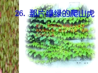 人教版四年级语文上册《那片绿绿的爬山虎》PPT课件