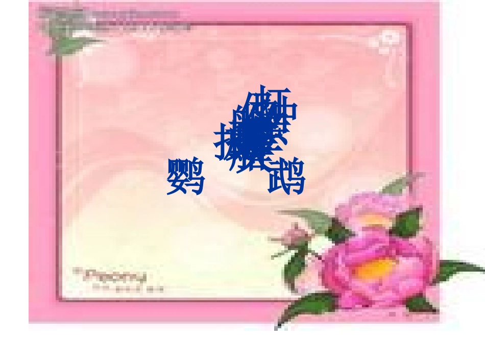 搭船的鸟PPT_第3页