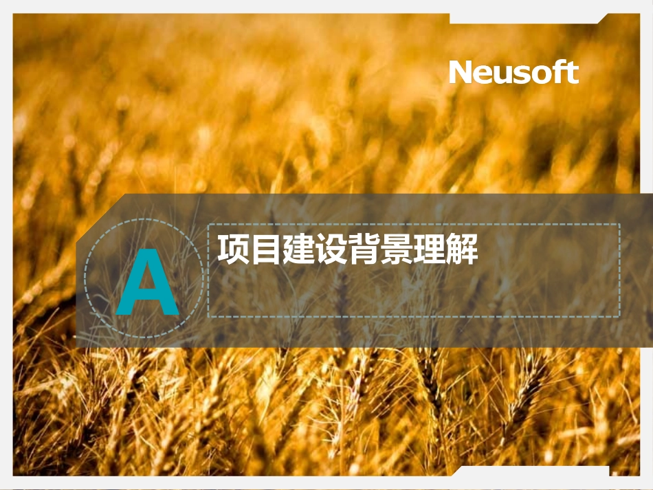 医院信息化建设方案_第2页