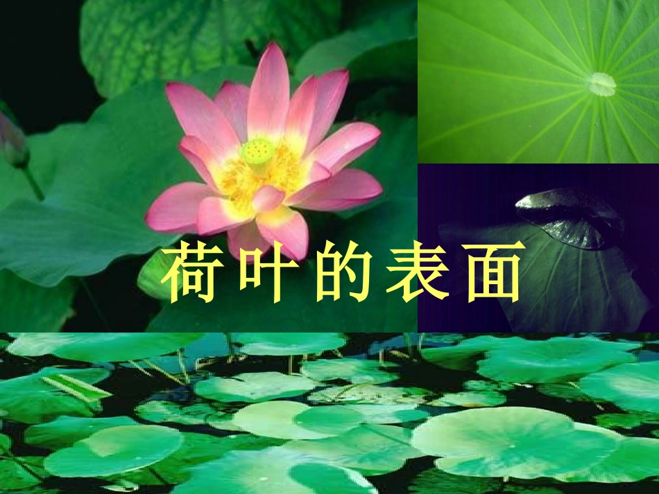 晶体的表面和界面结构_第3页