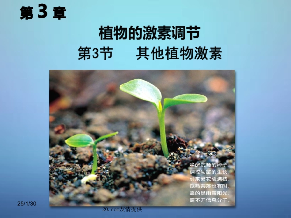 【人教版】必修三生物：3.3《其他植物激素》优秀ppt课件_第1页