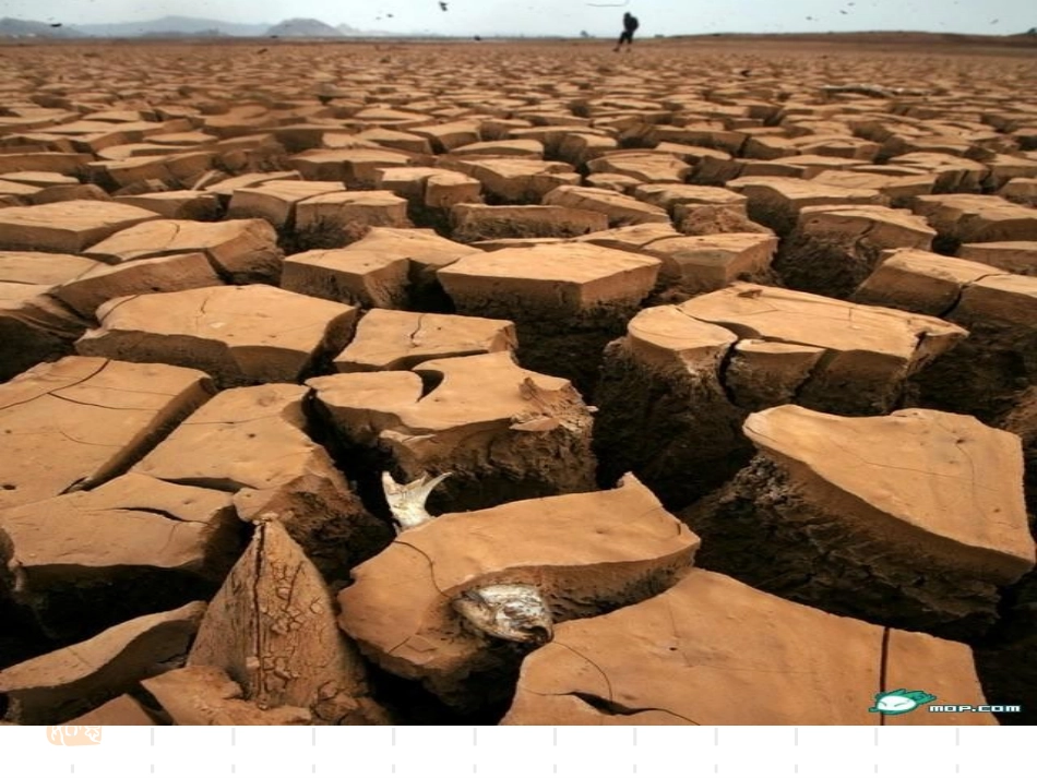 市场配置资源-优秀课件_第2页