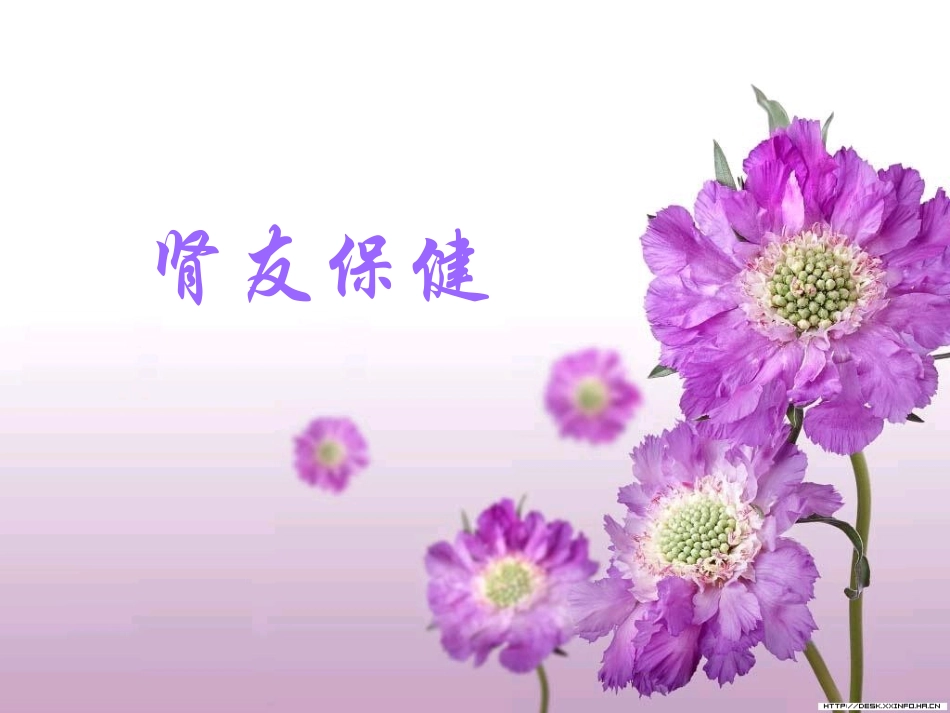 02慢性肾脏病饮食指导——王静[1]_第2页