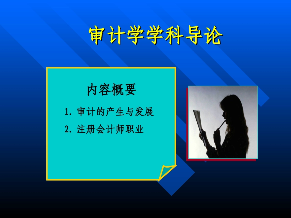 审计学专业导论_第2页