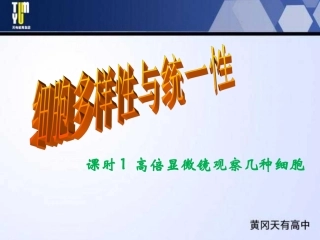 使用高倍显微镜观察几种细胞ppt