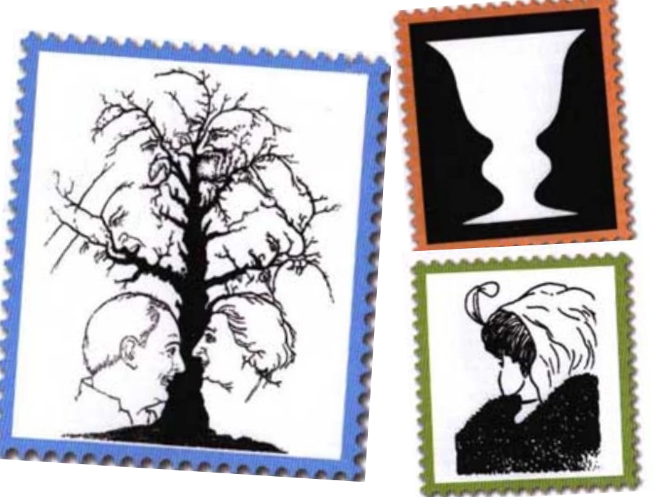 四年级上册语文 第二单元 观察日记_习作_第3页