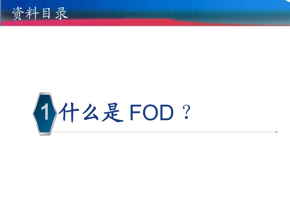 机场FOD防范管理_第3页