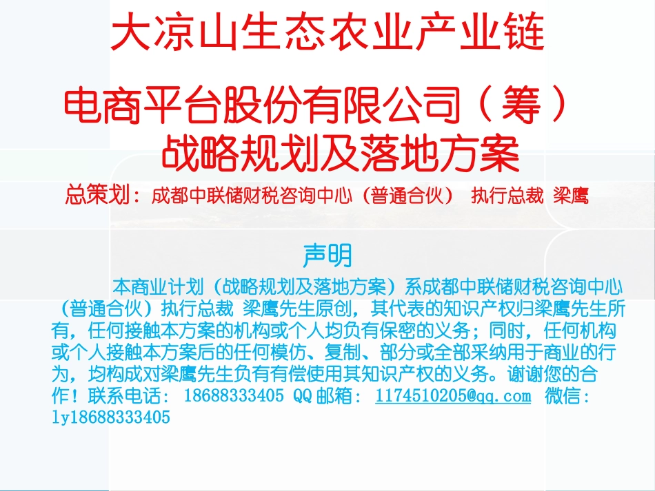 大凉山生态农业产业链平台公司战略规划及落地方案v5.6_第1页