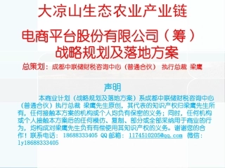 大凉山生态农业产业链平台公司战略规划及落地方案v5.6