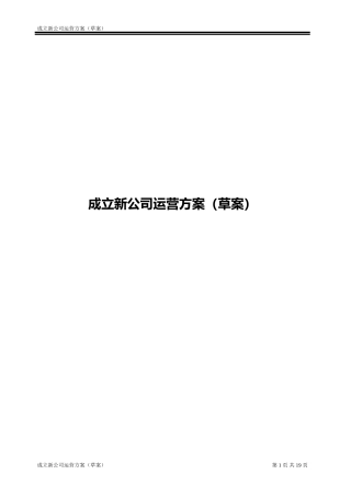 成立新公司运营方案(草案)