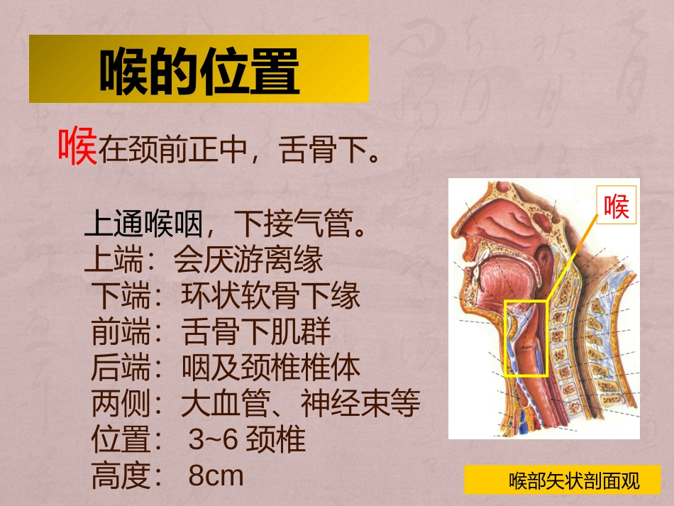 气管切开患者护理查房_第3页