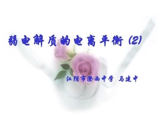 弱电解质的电离平衡(公开课)