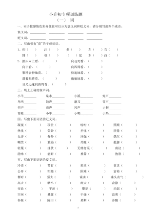 小升初专项训练一   词语