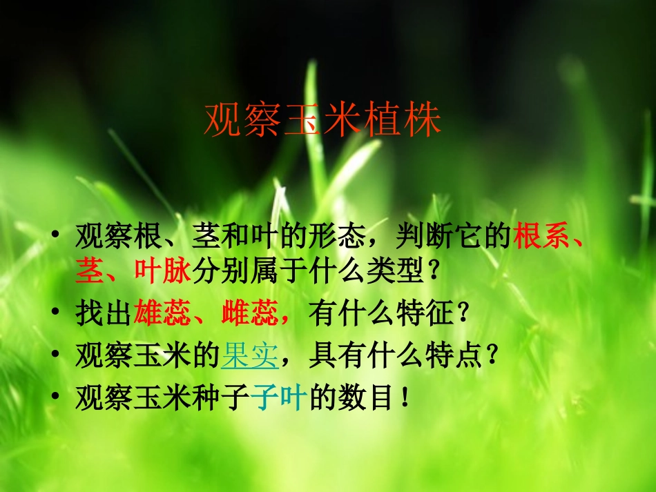 单子叶植物和双子叶植物_第3页