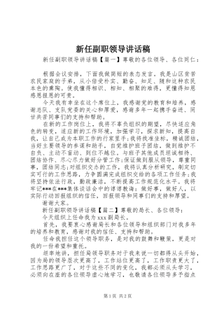新任副职领导讲话稿