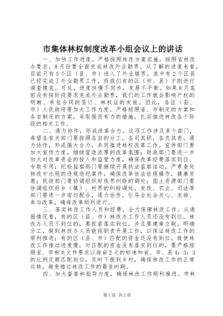 市集体林权制度改革小组会议上的讲话