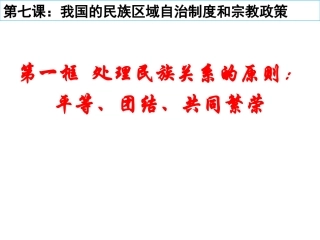 处理民族关系的基本原则