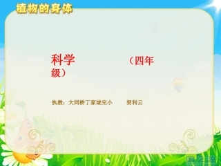 《植物的身体》课件