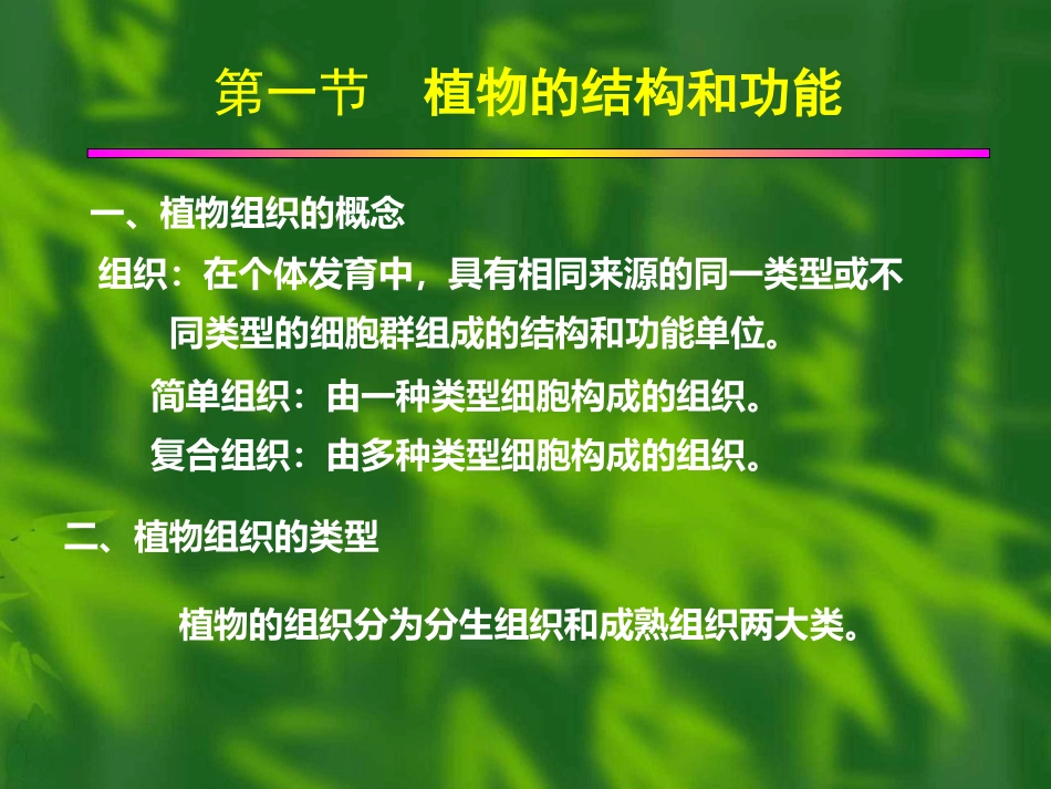 植物组织和功能_第1页