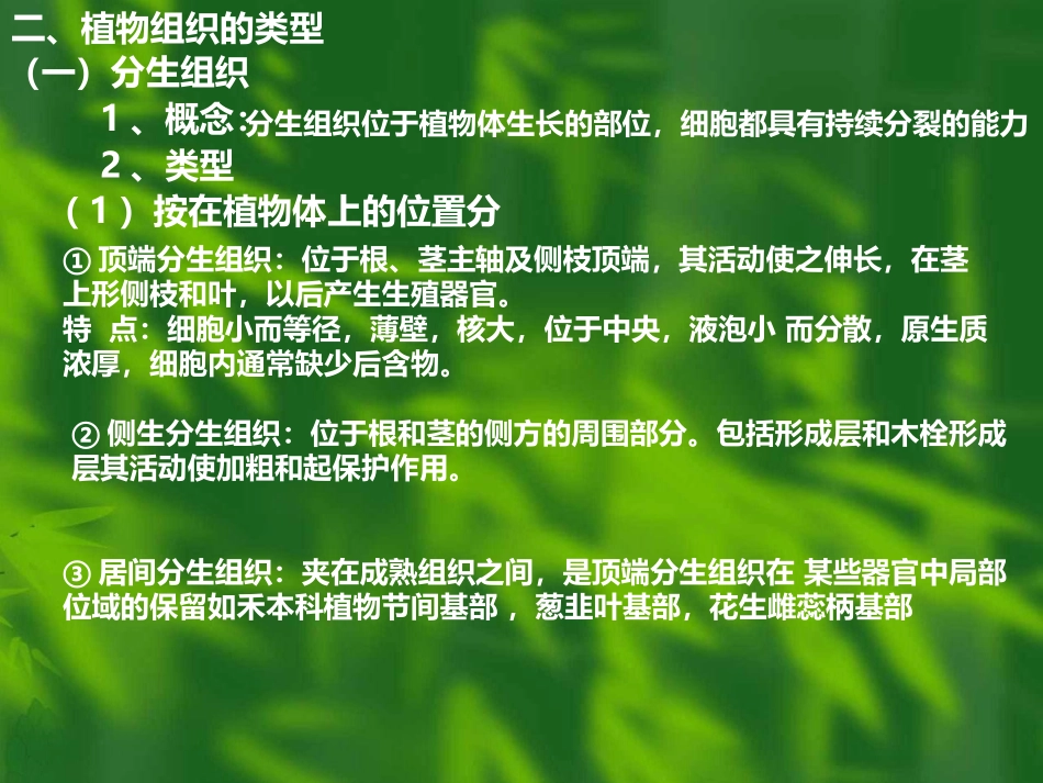 植物组织和功能_第3页