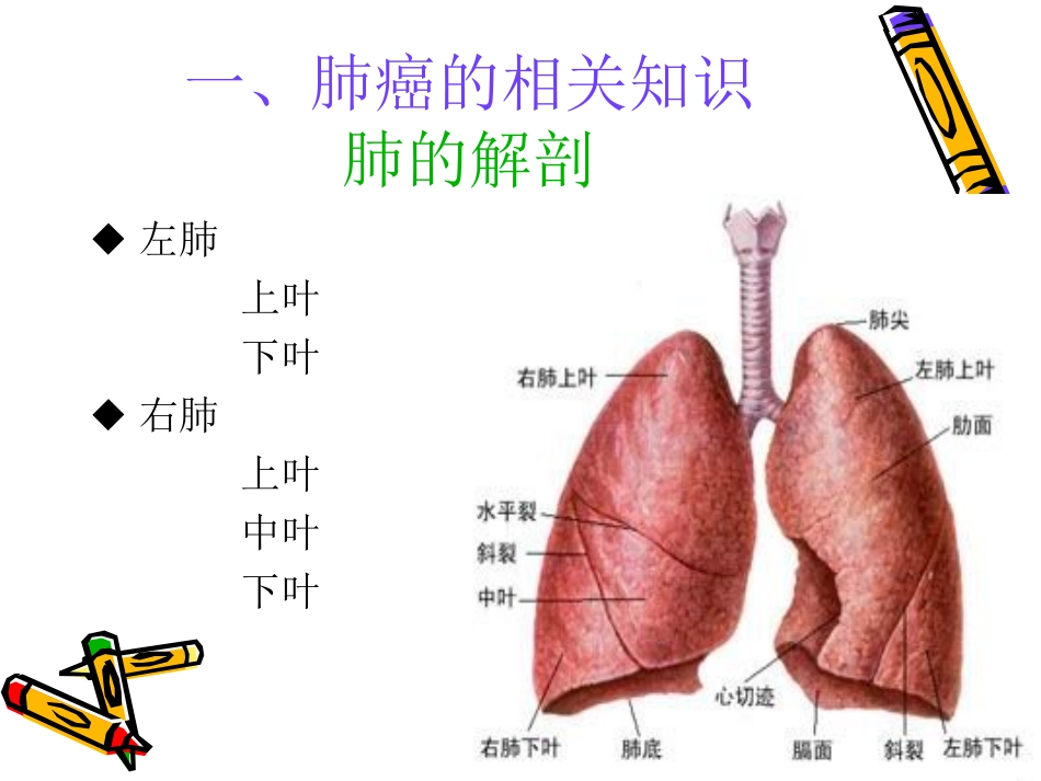肺癌的护理查房2016_第3页