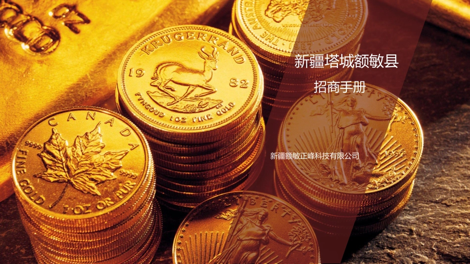 度假村招商策划方案_第1页