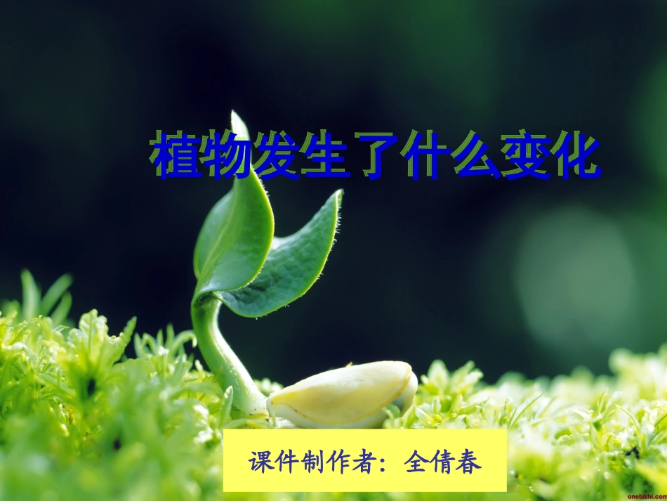 植物发生了什么变化1·5课件ppt_第1页