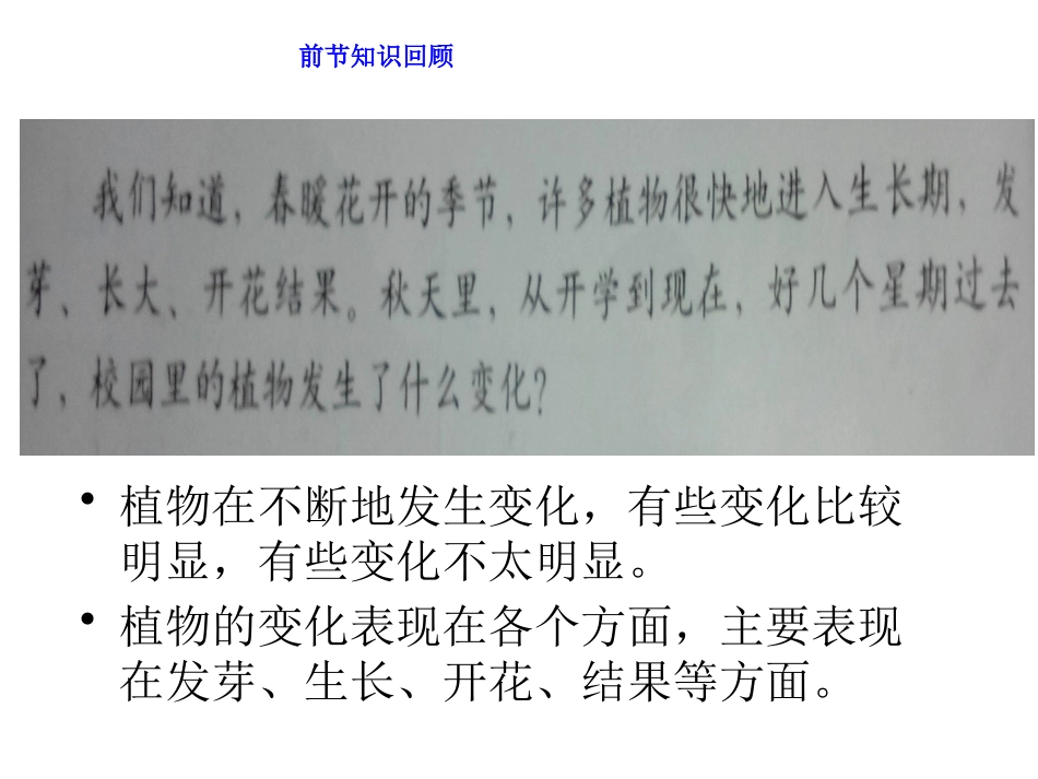 植物发生了什么变化1·5课件ppt_第2页