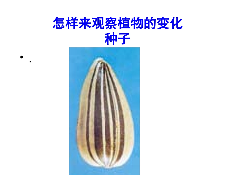 植物发生了什么变化1·5课件ppt_第3页