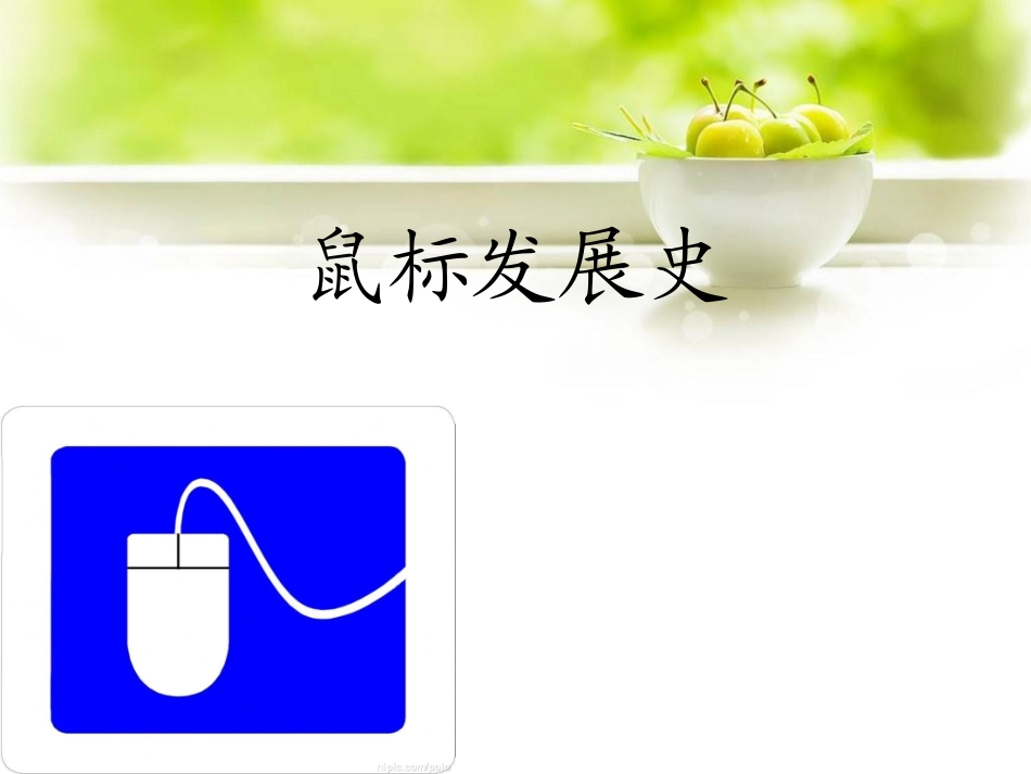 认识鼠标PPT_第3页