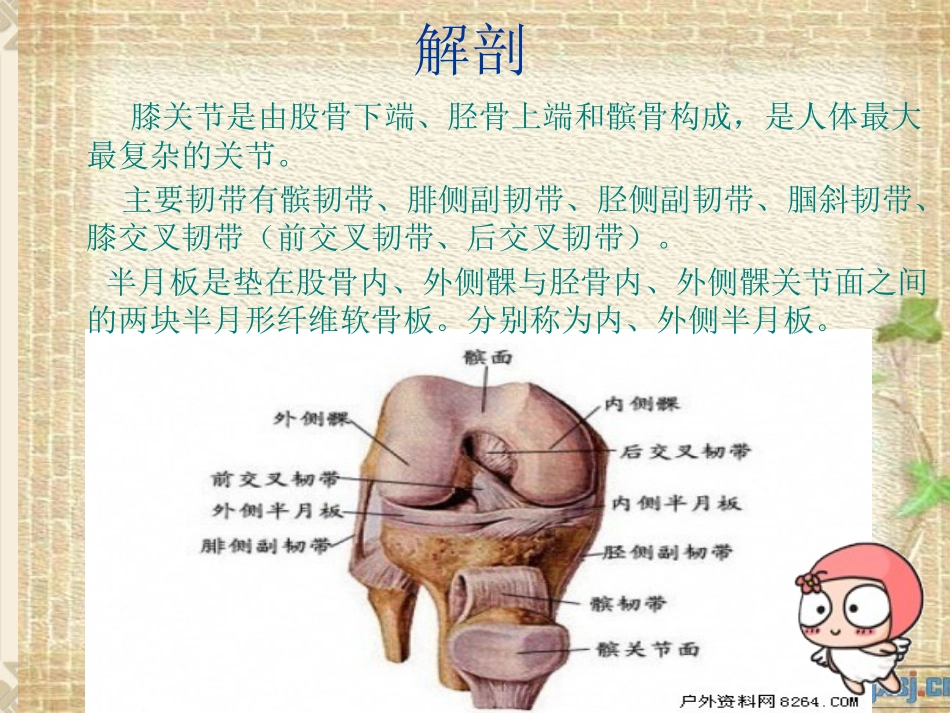 膝关节镜护理查房_第3页
