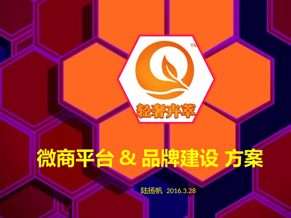 微商平台及品牌建设方案_第1页