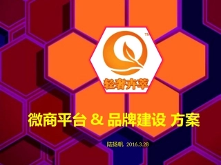 微商平台及品牌建设方案