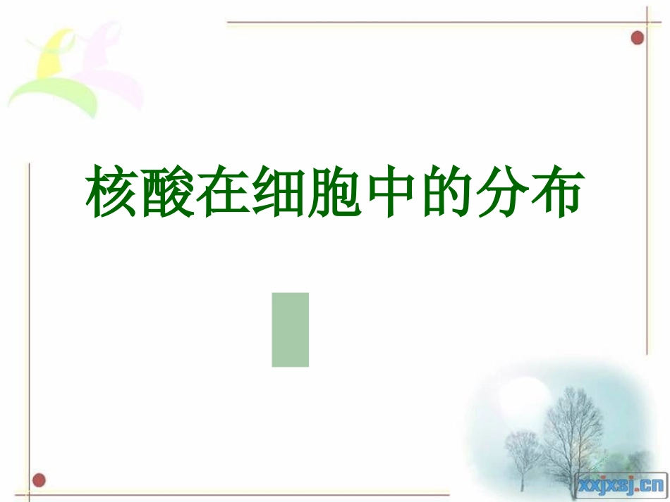 核酸在细胞中的分布_第1页