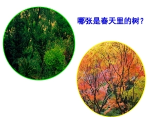 植物发生了什么变化(SB完美版)