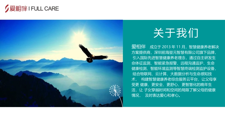 智慧健康养老云平台商业计划书_第2页