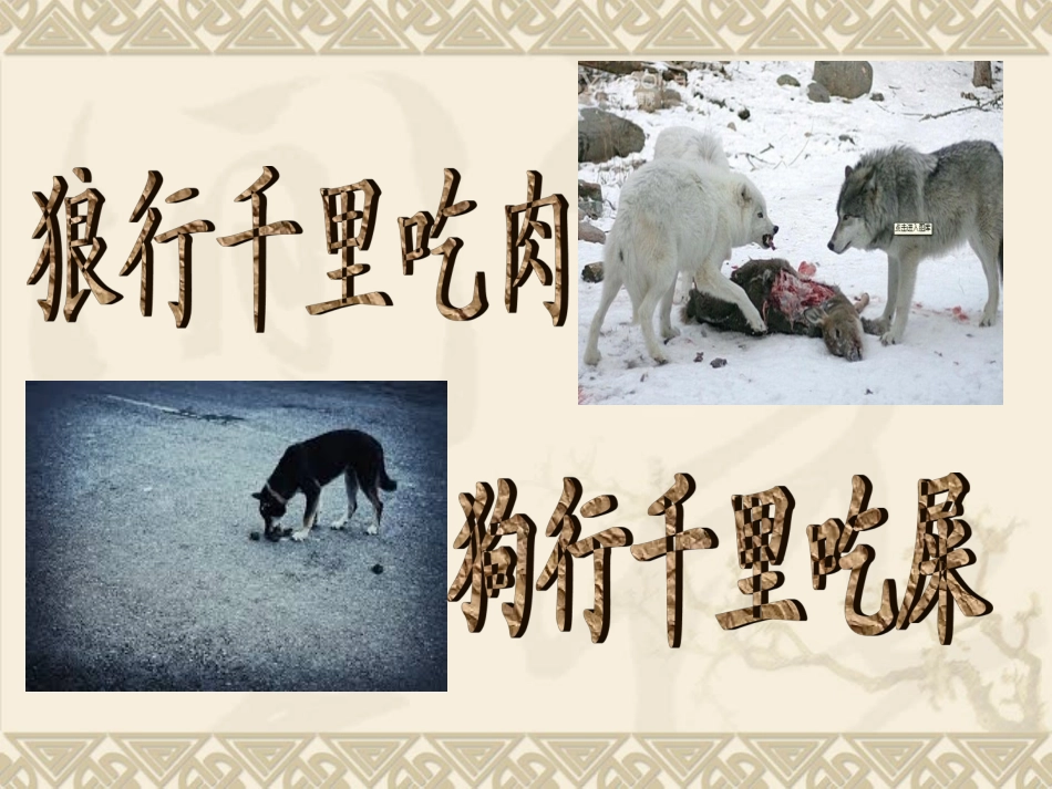企业狼性文化_第2页