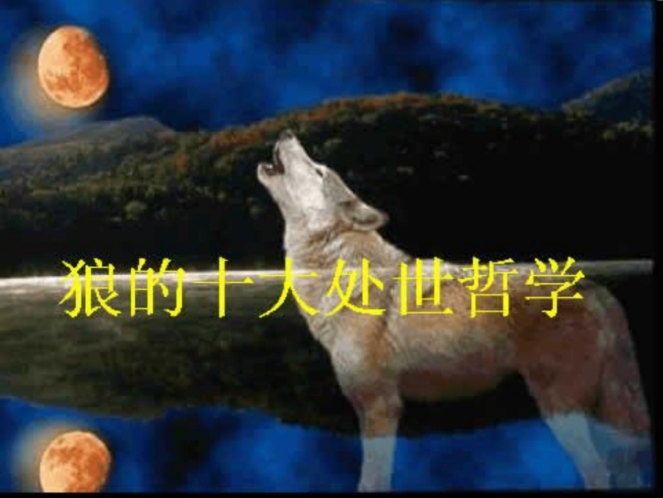 企业狼性文化_第3页