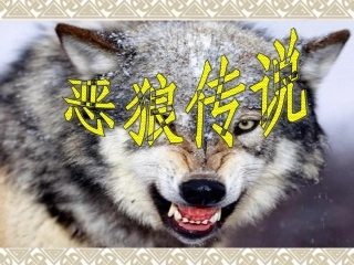 企业狼性文化