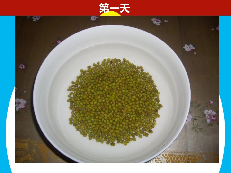 四年级上册第二单元作文观察日记发豆芽写作指导_第2页