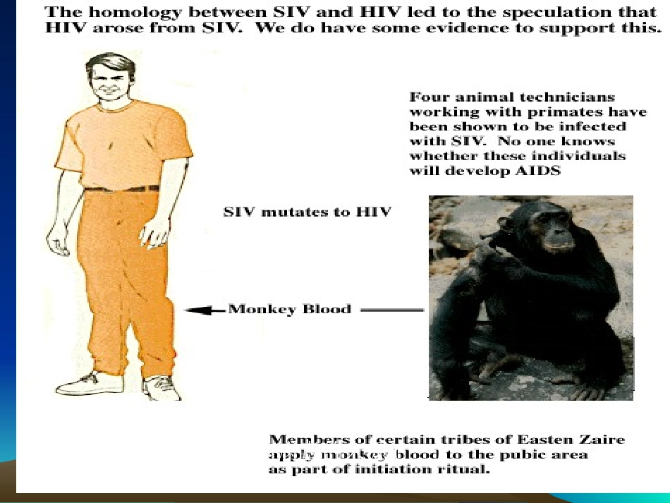 艾滋病基本知识及预防_第3页