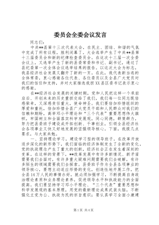 委员会全委会议发言