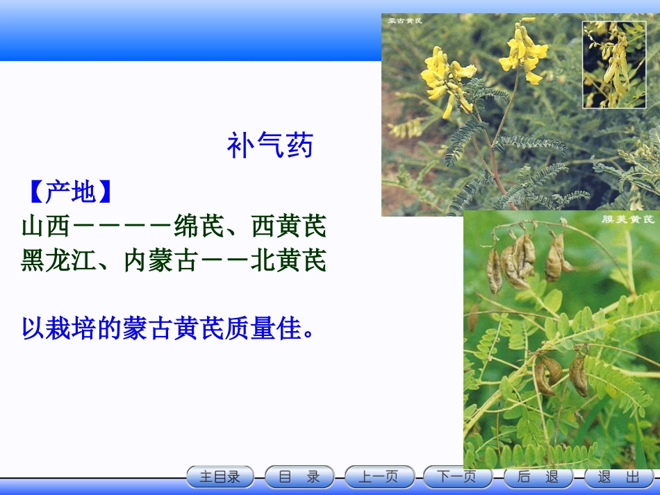 豆科植物类生药_第2页