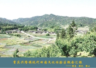农业观光园经典概念方案汇报